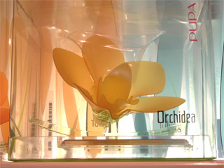 The Perfum&eacute;ria