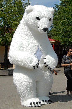 Russian bear - the symbol of Russia